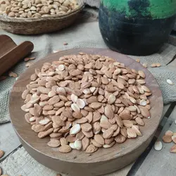 مغز هسته زردآلو