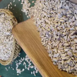 مغز تخمه آفتابگردان خام