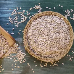 مغز تخمه آفتابگردان خام