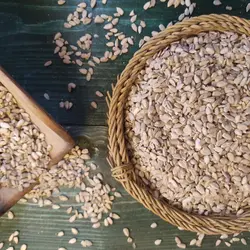 مغز تخمه آفتابگردان خام