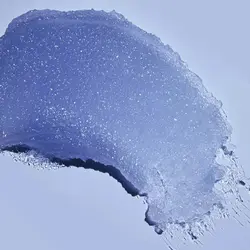 اسکراب بدن  Exotic Bloom تري هاتاورجینالTree Hut exotic bloom shea sugar scrub