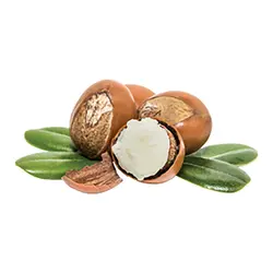 نرم کننده داخل حمام هوايان  سيلکياورجینالHawaiian Silky Triple Butter Hydrate & Define Conditioner