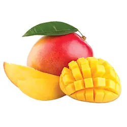 نرم کننده داخل حمام هوايان  سيلکياورجینالHawaiian Silky Triple Butter Hydrate & Define Conditioner