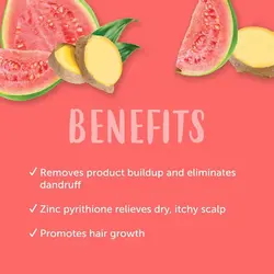 شامپو ضد شوره درماني مو فر کنتواورجینالCantu Guava & Ginger Anti-Dandruff Shampoo