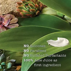 ماسک مو دتوکس و پاکسازي خاکسترآتشفشاني مائويياورجینالMaui Moisture Detoxifying Volcanic Ash Scalp Care Mask