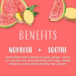 اسکراب و پاکسازي درماني کف سر گواوا و زنجبيل کنتواورجینالCantu Guava & Ginger Scalp Exfoliating Pre-poo Treatment