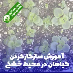 آموزش سازگارکردن گیاهان در محیط خشکی