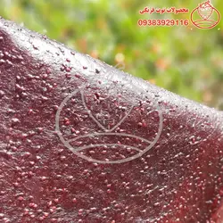 لواشک شاه توت خانگی ترش