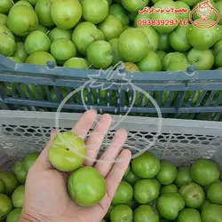 لواشک گوجه سبز خانگی ترش