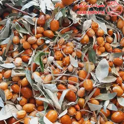 پودر سنجد با هسته