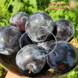 چیپس خانگی آلو سیاه