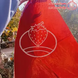 لواشک انار بدون هسته