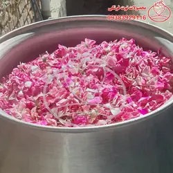 گلاب خانگی درجه 1