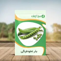 بذر نخود فرنگی