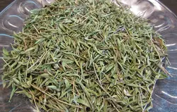 آویشن کوهی باریک