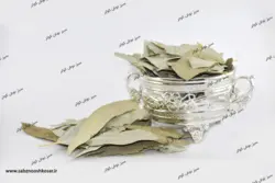 برگ اکالیپتوس