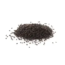 تخم شربتی درشت