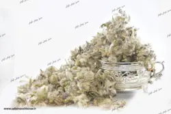 چای کوهی پشموک