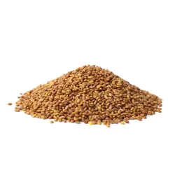 تخم یونجه