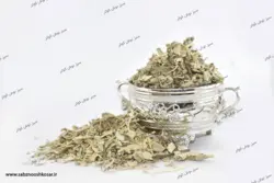 خرید گیاه پولک در اصفهان