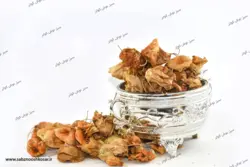 عروسک پشت پرده