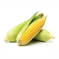 کاکل ذرت