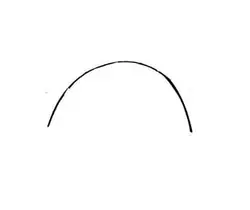 زه نقره ای سپرجلو- پارس ایساکو