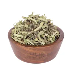 دمنوش عصرانه