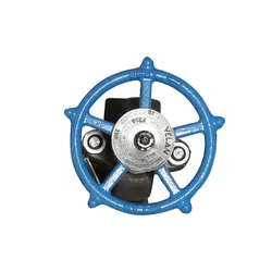 گلاب ولو - سالار صنعت نیواد