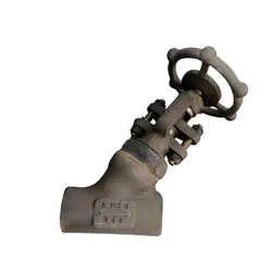 گلاب ولو کلاس 800 - سالار صنعت نیواد