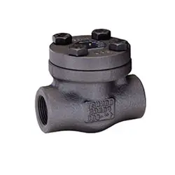 چک ولو 1 اینچ - سالار صنعت نیواد