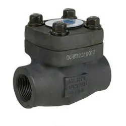 چک ولو 1 اینچ - سالار صنعت نیواد