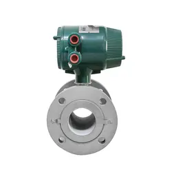 فلومتر AXF080G - سالار صنعت نیواد