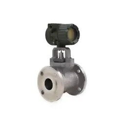 فلومترFlowMeter - سالار صنعت نیواد