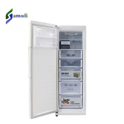 یخچال فریزر دوقلو بلانتون RE-FR1901
