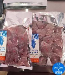 بچه شیر