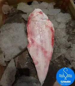 زبان