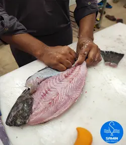 کفشک