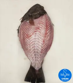 کفشک
