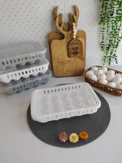 جا تخم مرغی