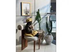 صندلی ناهارخوری سویا (SOYA)