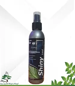 اسپری تمیز کننده برگ گیاهان (ارگانیک)