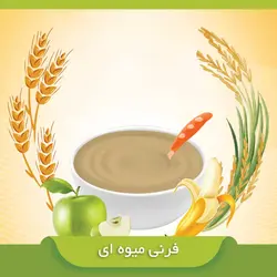 فرنی میوه