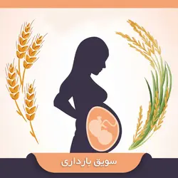 سویق بارداری