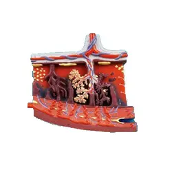 مولاژ برش مقطعی جفت