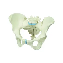 مولاژ لگن خاصره زن