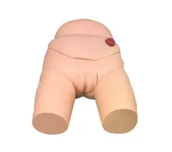 مولاژ (مانکن ) مدل کامل مجاری ادراری زنان