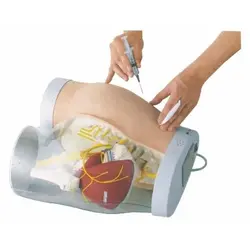 مولاژ تزریق عضلانی پیشرفته الکترونیکی