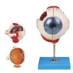 مولاژ چشم 2 قسمتی