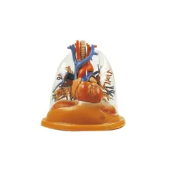 مولاژ ریه با نای،نایژه ها و قلب